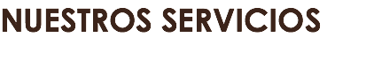 NUESTROS SERVICIOS